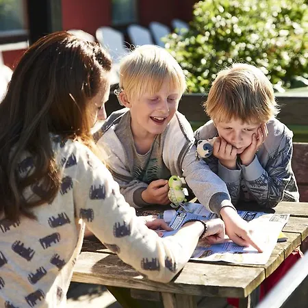 Svaneke Vandrerhjem Albergue