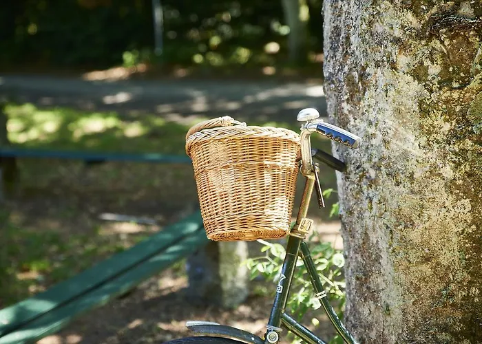 Svaneke Vandrerhjem ホステル スヴァネケ